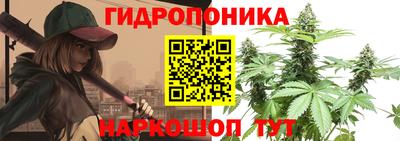 ГАЛЛЮЦИНОГЕННЫЕ ГРИБЫ Абакан
