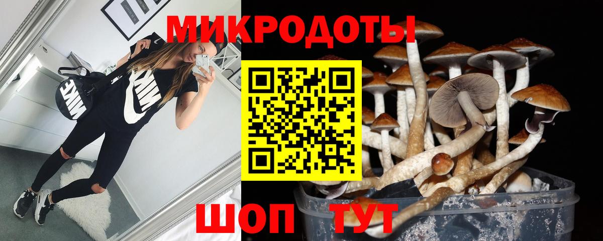 Галлюциногенные грибы Psilocybe Анжеро-Судженск